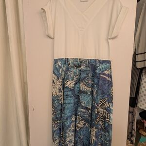 White and Blue Floral Dress